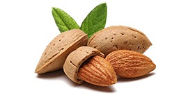 Almond Suppliers in India mudra Global