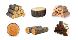 Woods and timber - Import export company